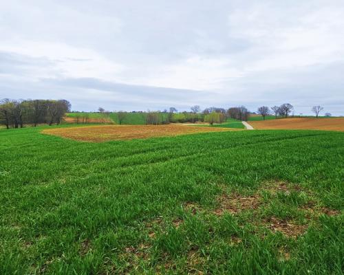 Działka na wzgórzu z niepowtarzalnymi widokami