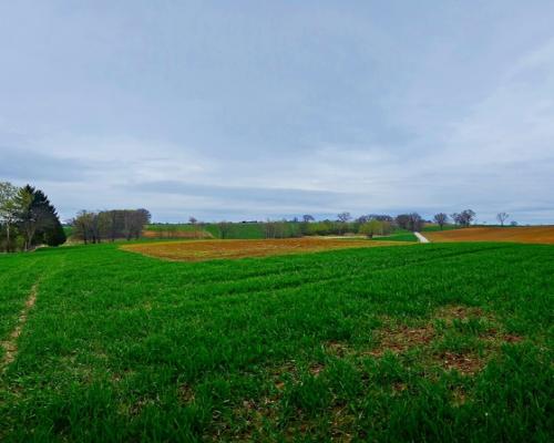 Działka na wzgórzu z niepowtarzalnymi widokami