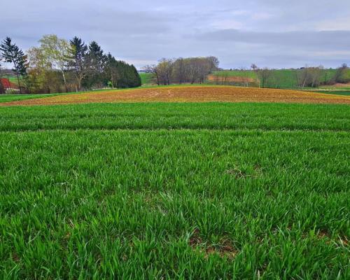 Działka na wzgórzu z niepowtarzalnymi widokami