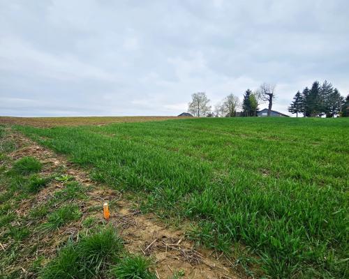 Działka na wzgórzu z niepowtarzalnymi widokami