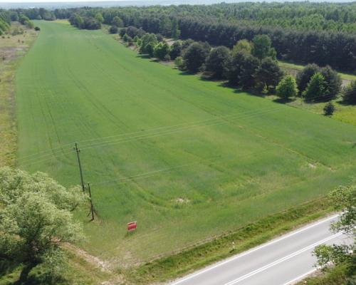 Duża działka inwestycyjna blisko Wisły w Kłudziu.