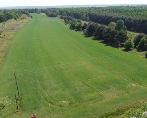 Duża działka inwestycyjna blisko Wisły w Kłudziu.