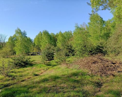 Dom na działce 4200 m2 w Gródku gm. Policzna.