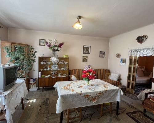 Dom 50 m2  na działce w m. Babilon gm. Lipsko.