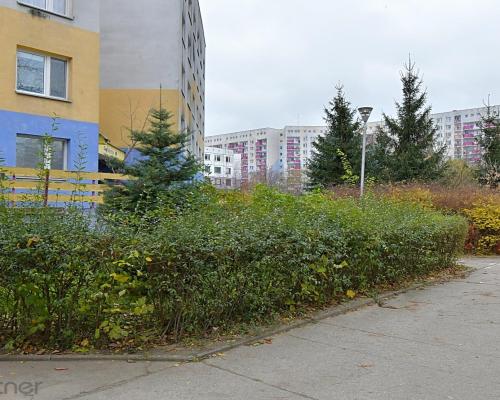 Ciche 2 pokoje z oddzielna kuchnią