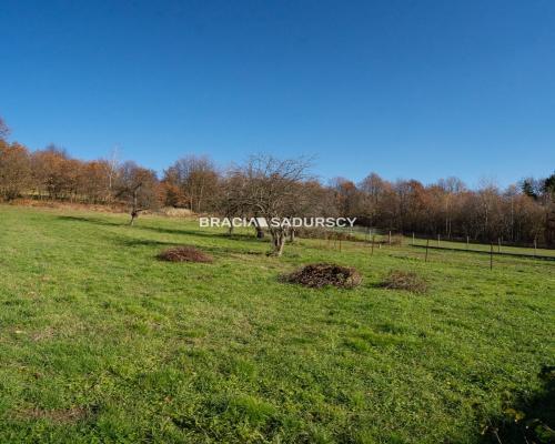 Dom  z duzą działką w cenie mieszkania/Leńcza