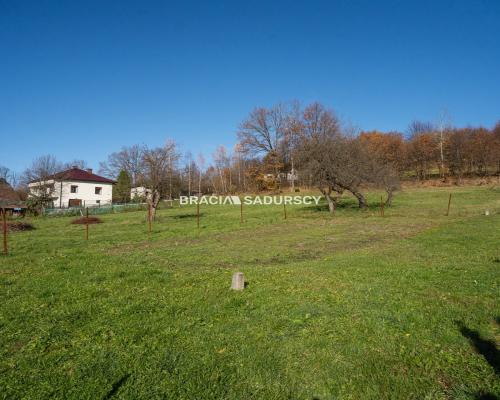 Dom  z duzą działką w cenie mieszkania/Leńcza