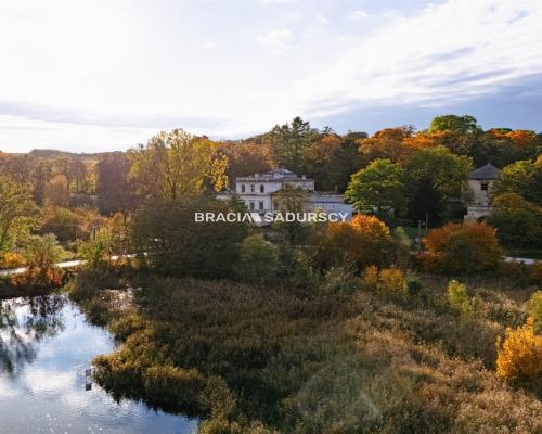 Pałac w Sancygniowie — Park, Staw, Sad, Historia!