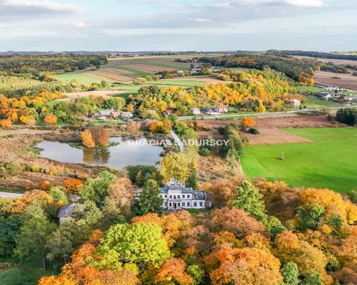 Pałac w Sancygniowie — Park, Staw, Sad, Historia!