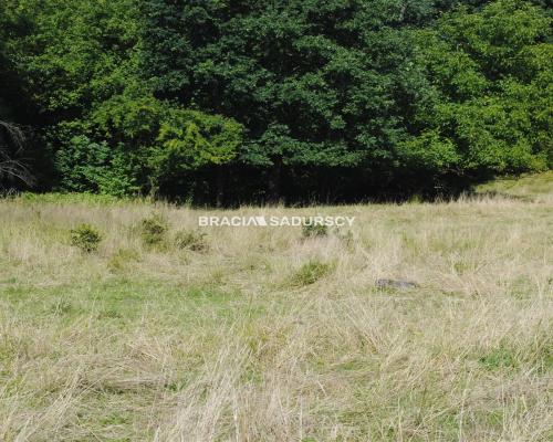 Nieruchomośc przy lesie w Chorowicach