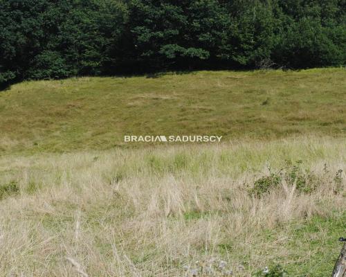 Nieruchomośc przy lesie w Chorowicach