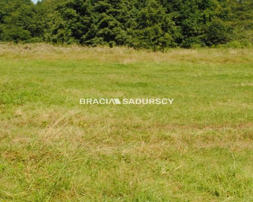 Atrakcyjna działka budowlana w Gdowie