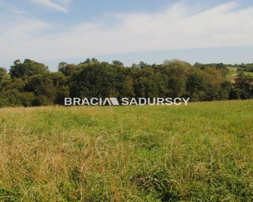 Okazja!!!Do sprzedania duża nieruchomość .