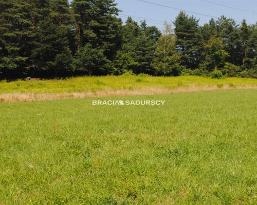 Duża działka budowlana w Kryspinowie.