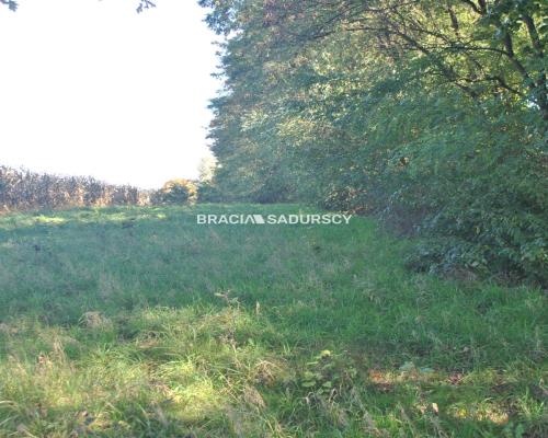 Duża działka budowlano-rolna w Gdowie.