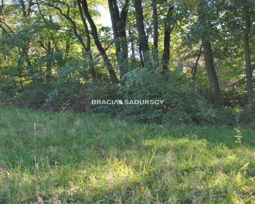 Duża działka budowlano-rolna w Gdowie.