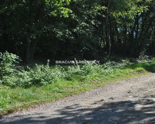 Duża działka budowlano-rolna w Gdowie.