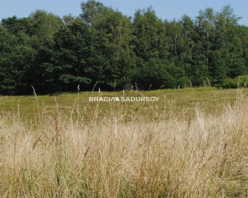 Duża nieruchomośc przy lesie w Chorowicach