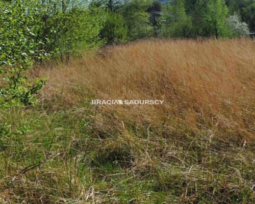 Atrakcyjna działka budowlana w Przebieczanach