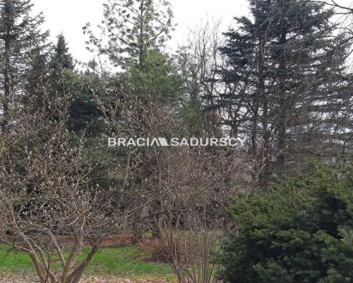 BARDZO ATRAKCYJNA D   ZIAŁKA BUDOWLANA   
 
                                                 W   SIEPRAWIU  - 49,5 A  
 
  Prop