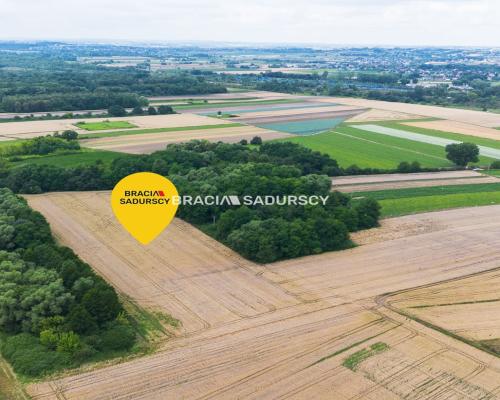 1,7 ha – przemysł/usługi,Kraków - Igołomska