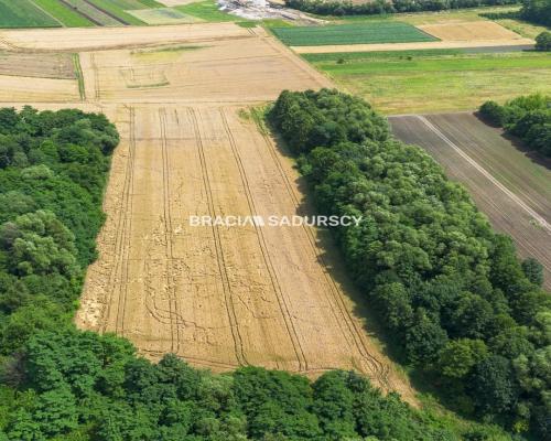 1,7 ha – przemysł/usługi,Kraków - Igołomska