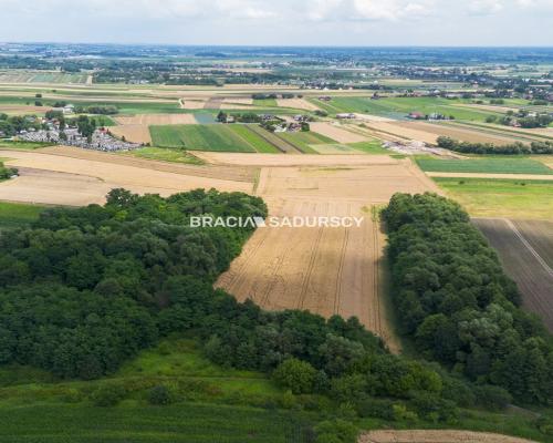 1,7 ha – przemysł/usługi,Kraków - Igołomska