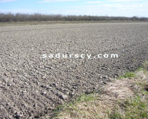 Działka usługowa 4.400 m 2  w kształcie prostokąta w Nowej Woli z Miejscowym Planem Zagospodarowania Przestrzennego, między uli