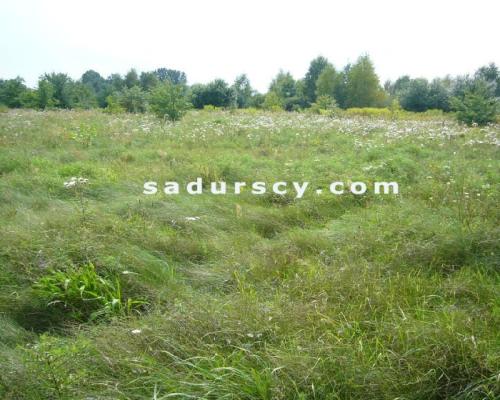 Siedem działek budowlanych pod inwestycję, po 1000m 2  każda, we Władysławowie, gmina Lesznowola, na obrzeżach Warszawy, ok. 3