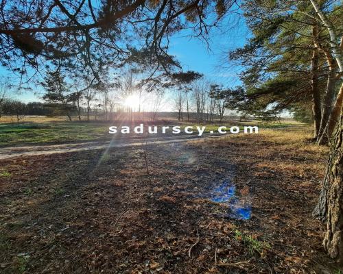 Bardzo ładna działka budowlana 3539m2 w Baniosze, gm. G&oacute;ra Kalwaria, na terenach zielonych, w otulinie Chojnowskiego Par