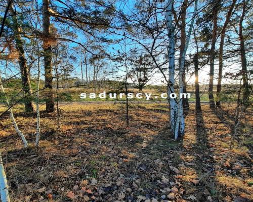 Bardzo ładna działka budowlana 3539m2 w Baniosze, gm. G&oacute;ra Kalwaria, na terenach zielonych, w otulinie Chojnowskiego Par