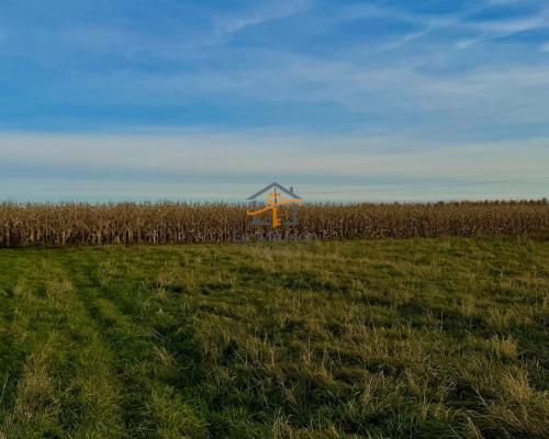 Rusicice, gm. Czernichów. 27 ar w zielonej okolicy