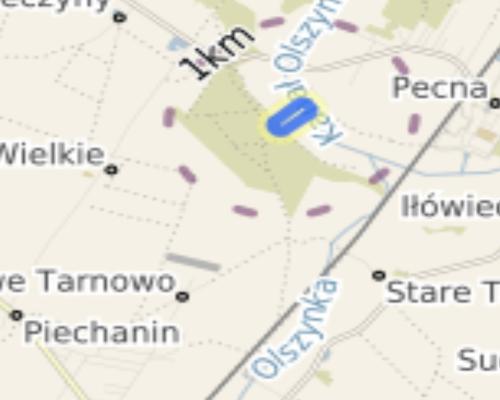 Sprzedam-ziemia z duszą, odpoczęta, 1 ha niedaleko Poznania