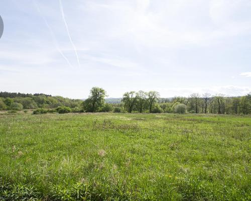 Nowy Bliźniak- Świebodzice ze strefą SPA