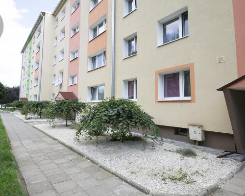 Kawalerka, Os. Młodych