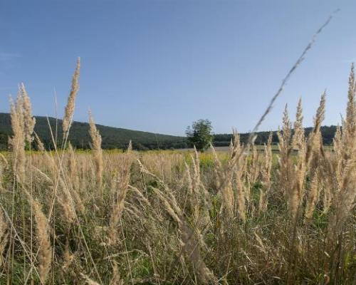 Działka 9ha - pod Ślężą