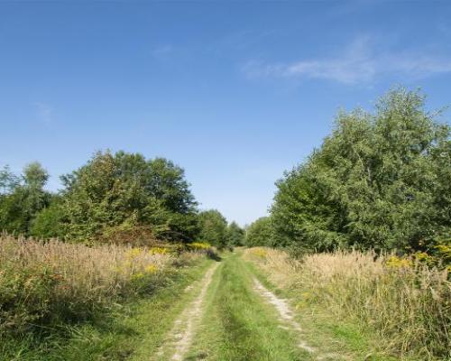 Działka 9ha - pod Ślężą