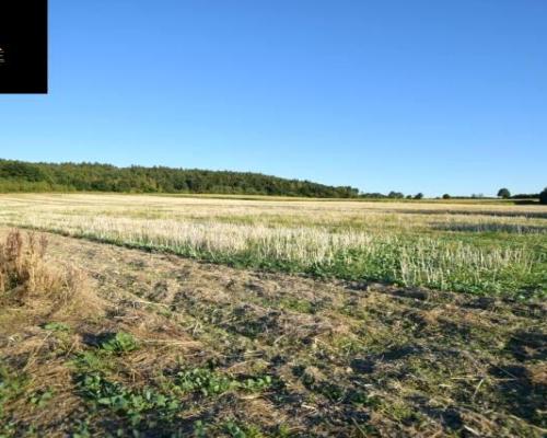 Działka 9ha - pod Ślężą