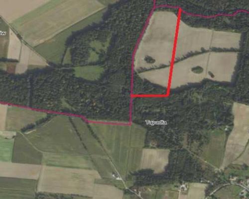 Działka 9ha - pod Ślężą