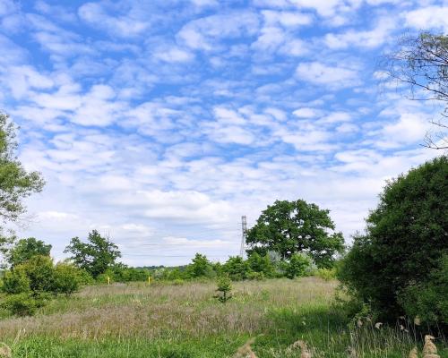 Bogato wyposażony dom z dostępem do własnego parku!