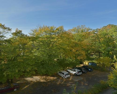 Mieszkanie 3-pokojowe przy parku, Hallera