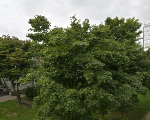 Kawalerka przy ul. Grabiszyńskiej