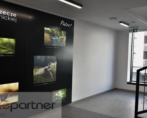 Kawalerka z przestrzenią sypialnianą, ok. Magnolii