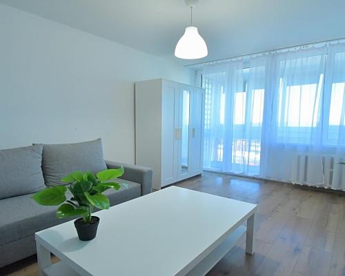 2 pokoje z oddzielną kuchnią, obok parku