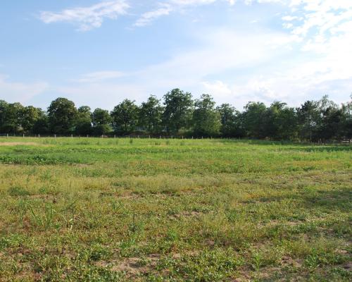Spokojne miejsce na Twój dom we Wrocławiu