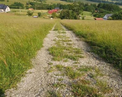 Działka w Górach Sowich