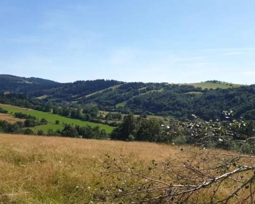 Działka w Górach Sowich