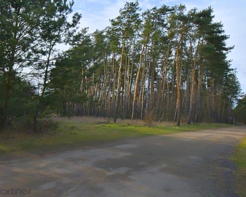 Piękna działka blisko lasu, Miłoszyce