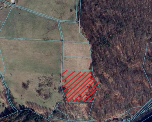 Działka w Górach Sowich