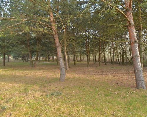 Piękna działka blisko lasu, Miłoszyce